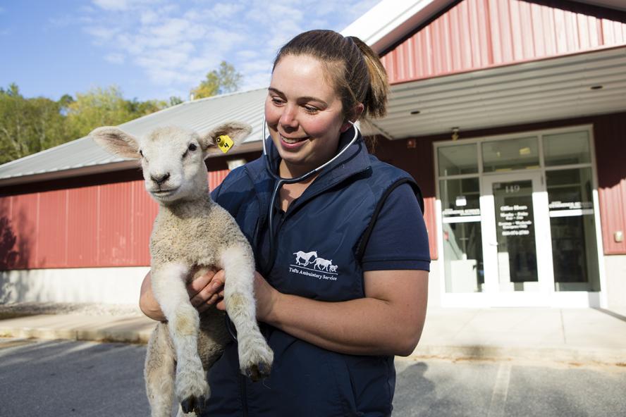 A smiling individual in a blue vest holding a lamb outside a red building in the sun.